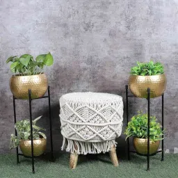 amaya decors Planter Ads 44-picture-41