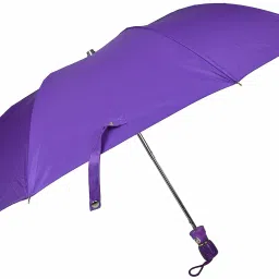 21 Inches 2 Fold Automatic Open type Polyester Umbrella-1