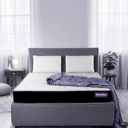 restolex Active Antibacterial 6 inch Bonnell Spring King Size Mattress-picture-1