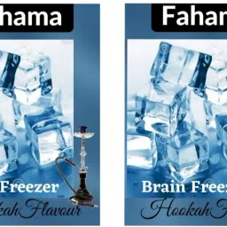 BRAIN FREEZER BRAIN FREEZER FLAVOR FREE CHIMTA FOIL PAPER MOUTH TIP BRAIN FREEZER, BRAIN FREEZER Hookah Flavor-image-41