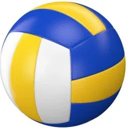 Premium Volleball Volleyball - Size: 4-picture-23