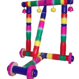 Activity Walker-5