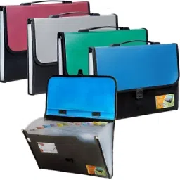 nivizen Plastic 13 Pockets Expanding File Folder for Documents, Certificates, Letter A4 Size Organizer with Carry Handle image 4