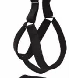 150 cm Dog & Cat Strap Leash-image-29