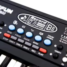 nilesawar X291 Piano Keyboard with Recording ,Mic & Mobile Charger Best Birthday Gift for Boys and Girls Musical Instruments Latest Analog Analog Portable Analog Portable Keyboard image 2