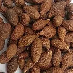 bharat jadi booti Niranjan Phal - Niranjan Fal - Malva Nuts - Sterculia Lychnophora Seed image 3