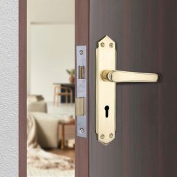 Brass Glossy Handlesets-image-56