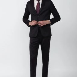Men Single Breasted - 2 button Solid Suit-image-83