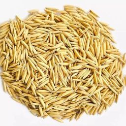 Pusa Basmati 1847 F1 HYBRIDE variety paddy rice seeds for farming 8KG SEEDS Seed-image-60