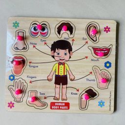 Educational Learning Game Wooden Human Parts of The Body Puzzle with Knobs-image-58