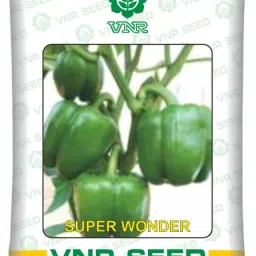 Super Wonder Capsicum Seed,Shimla Mirch,Sweet Pepper Seed-18