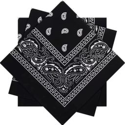 brendo Double Sided Print Paisley Cowboy Bandana Party Favor Scarf Handkerchiefs ["Black"] Handkerchief-image-51