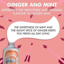 marvis Ginger Mint Toothpaste 85ml Toothpaste image 4