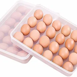 Plastic Egg Container - 2 dozen-17