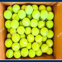jai shri New-Tennis ball _321Pack of 6 Tennis Ball-picture-26