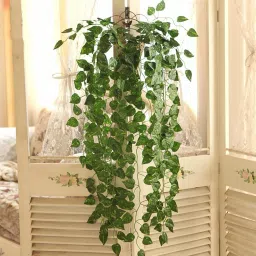 Artificial money Plants Ivy Hanging Home Kitchen Office Wedding Wall Decor Green Frangipani Artificial Flower-14