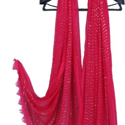 Chiffon Embellished Pink Women Dupatta-image-55