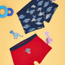 Pantaloons Junior Boys Pack Of 2 Printed Pure Cotton Trunks 8909044226907-49