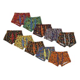 BRAT Boys Pack Of 2 Assorted Trunks BR-BI-TR002-PI-2X5-AS05-6-picture-1