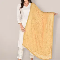 Dupatta Bazaar Embroidered Dupatta-picture-37