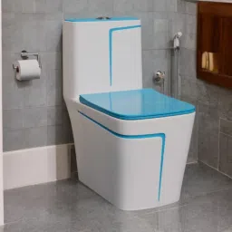 d o t C/T03 Premium Quality White commode with SKY Blue Finishing Line and Round Flush Button Western Commode image 2
