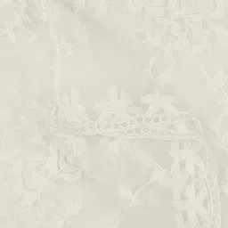 Dupatta Bazaar Embroidered Net Dupatta image 3