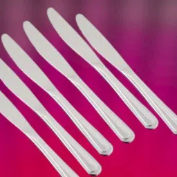 Stainless Steel Butter Spreader Set-48