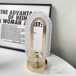 Oval Shape Decorative Night Lamp Table Lamp-11
