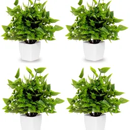 Set of 4 Flower And Plant For Home Office Décor Also Plant Suitable For Table Green Wild Flower Artificial Flower with Pot-11