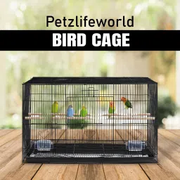 2 Feet Black Powder Coated Birds Cage With 2 Swing Toy For All Small Birds Bird House-16