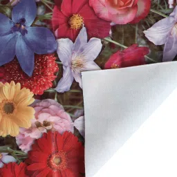flipkart smartbuy Rectangular Pack of 1 Table Placemat image 3