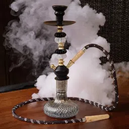 8 inch Glass Hookah-image-32