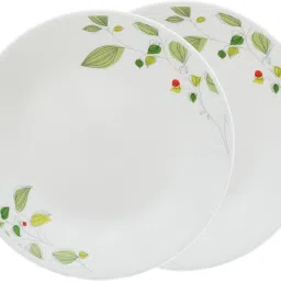 Asia Collection Green Breeze 26 cm Dinner Plate Pack of 2 Dinner Plate-21