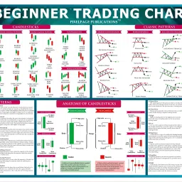 Stockmarket Classic Chart Pattern Poster, Trading Candlestick Patterns, Traders Sharemarket Chart, Paper Print Paper Print-2