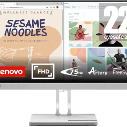 Lenovo 54.61 cm (21.5 inch) Full HD VA Panel Monitor (L22e-40)-image-45