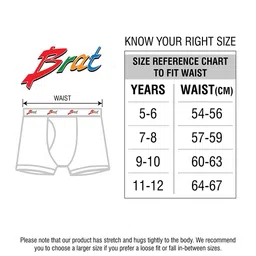 BRAT Boys Pack Of 2 Assorted Trunks BR-BI-TR001-OE-2X5-AS05-6 image 2