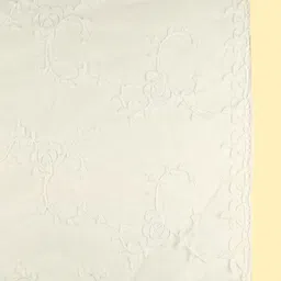 Dupatta Bazaar Embroidered Net Dupatta image 5