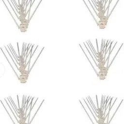 Bird Spike-image-32