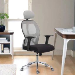 mintwud from pepperfry Matt Ergonomic Office Chair with Adjustable Lumbar Support and Headrest-picture-26