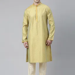 TheEthnic.Co Ethnic Motifs Woven Design Thread Work Kurta-picture-38