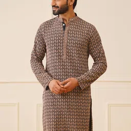 Jompers Ethnic Motifs Embroidered Mandarin Collar Straight Pure Cotton Straight Kurta-picture-12