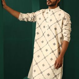trueBrowns Ethnic Motifs Embroidered Thread Work Detailed Cotton Straight Kurta-image-35