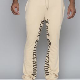 WAIMEA Men Typography Printed Bootcut-Fit Track Pant-image-100