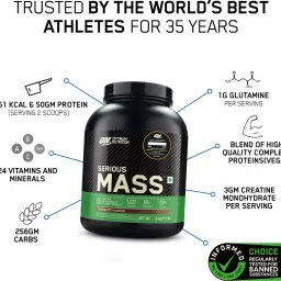 ON Serious Mass High Protein with Vitamins and Minerals Weight Gainers/Mass Gainers-92