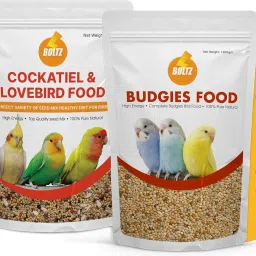 Combo of Budgies Food 1.2 Kg and Cockatiel & Lovebird 1.2 Kg 2.4 kg Dry Adult Bird Food-72