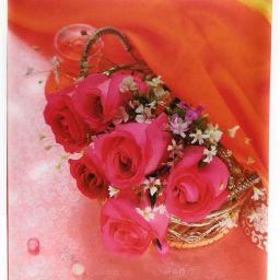Memo Screw Type Photo Album With 0.6mm Thick Extra Clear PVC Film, 300 Pocket, (Photo Size Supported: 4'x6') Album-2