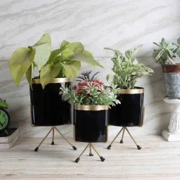 amaya decors Planter Ads 42-picture-4