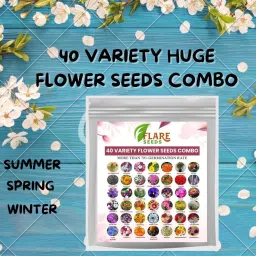flare seeds 40 Variety Flowers Seeds Combo Pack Bloom Your Garden Seed image 3