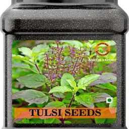 Black Tulsi Seeds, Basil for Eating Seed-29
