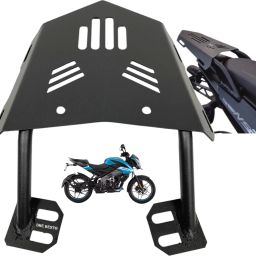 Adjustable Driver and Passenger Backrest-picture-6